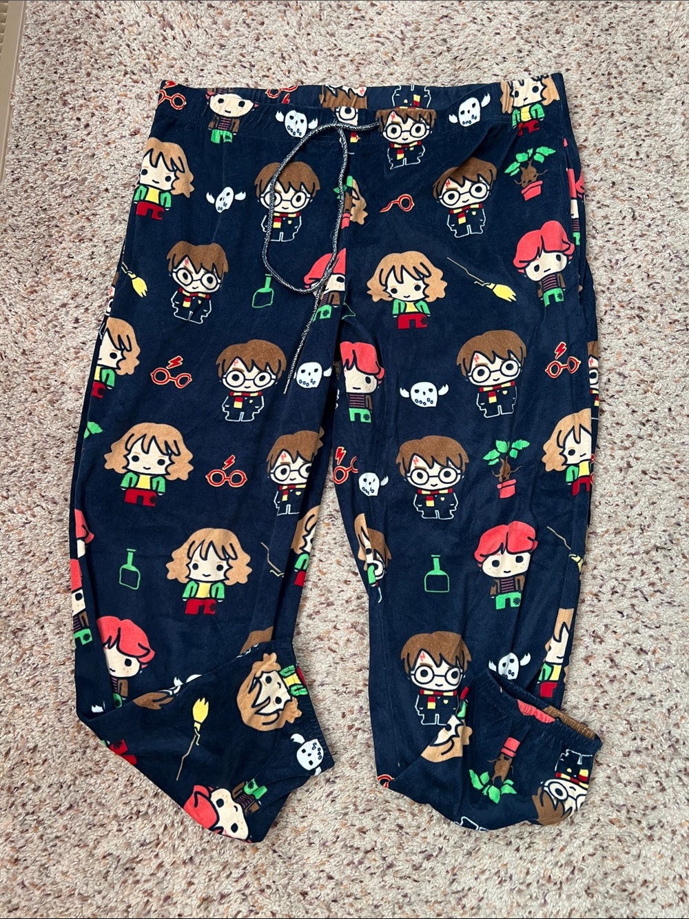 Warner Bros. Harry Potter Blue Cove Printed Sleepwear Pants
